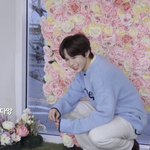[NCT즌] 우리달호 예쁘게봐주세여ㅜ