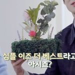 [NCT] 멤버별 꽃꽂이