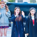 짤하나 <b>츄</b>