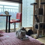 [드루와] 우리집 <b>고앵이</b> 귀엽지 않냐