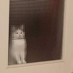 우리반에 <b>판</b> 하는 남자애 있음ㅋㅋㅋㅋ
