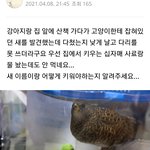 길고양이가 물어가던 새의 <b>정체</b>
