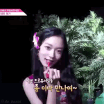 짤하나 <b>김도아</b>