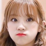 짤하나 <b>우기</b>