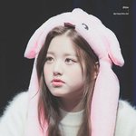 짤하나 장<b>원영</b>