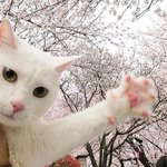 <b>오투</b> 통합과학 난이도 낮은편이지?
