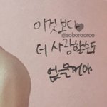 [세븐틴] 나 얼만큼 사랑해?