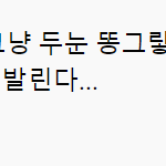 [NCT즌] 아 <b>야밤</b>에 빡빡 웃음