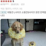 [드루와] <b>isfp</b>인데 소심하고 남자인 사람 들어와봐ㅜㅜㅜㅜ여자도