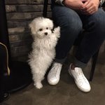 [댓글부탁해] 이거 노래 <b>제목</b> 아는 사람 ㅠㅠㅠㅠㅠ