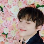 [NCT즌] 와 이거 포카였으면