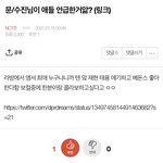 [NCT즌] 헐 이 글 <b>모야</b>