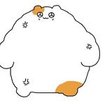 <b>체형</b>이 많이 이상해