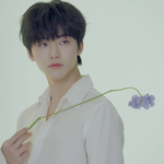 [NCT즌] 진짜 미쳤네