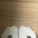 [NCT즌] 긴장하니깐 수족냉증 팍 와서