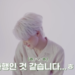 [NCT즌] 성스러운 사모예드