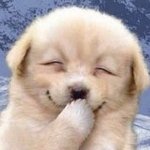 요새 여돌들 왜케 못생겼냐 ㅋㅋ