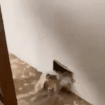 [BTOB] <b>유튜브</b>야 _댓어