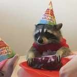 [더보이즈] 김선우 <b>베토벤</b> 썰 해명됨