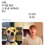 [방탄소년단] 아 개웃기니까 이것 좀 봐줘