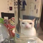 [댓글부탁해] 옆집 <b>잼민</b>이 피아노 치는데