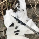 투싼 엔진 오일 플러싱하고 난 뒤 오일색깔이 좀 궁금해서요??