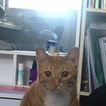 [댓글부탁해] 이새기 ㅈㄴ<b>띨빵</b>하게생긴거같지않음?얼평좀