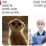 [펜타곤] 오늘 쿼<b>카</b><b>택</b>