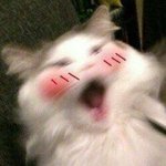 야 ㅅㅂ 밖에서 삐걱삐걱<b>소리</b> 나는데 <b>조카</b>뭐임
