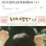 <b>정구</b>가