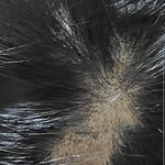 [조언부탁해] 나 집에서 <b>셀프</b>로 매직 했는데 결국 이사단 났어.