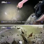 [개깊은빡침] 누군가 키우다 <b>방사</b>한 듯