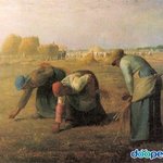 [세븐틴] <b>pdf</b>따로 갈사람!