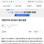 [세븐틴] 먄 내가 쓴거아니지만 끌올좀할께