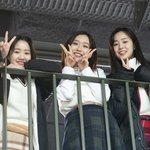 [드루와] 헤라키즈 너무 좋다