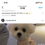 [NCT즌] sc 쵝앙착앙미인 슨<b>배님</b> 강아지