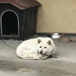 [NCT즌] 여기엔 까빠 <b>다수</b> 포진인듯