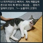 근데 여자애들 이름 중에