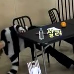 [방탄소년단] 지미니 웃길때 뒤집어<b>지게</b> 웃는거