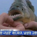 [댓글부탁해] 이런것도 가스라이팅이야??