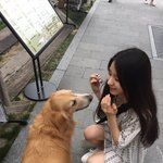 짤하나 <b>희진</b>