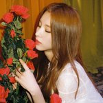 짤하나 <b>희진</b>