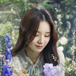 짤하나 <b>희진</b>
