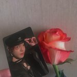 [NCT즌] 뭐가 꽃인지 모르겠네