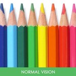 <b>색약</b>과 색맹이 세상을 볼 때