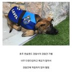 관심<b>병사</b> 꿀보직~