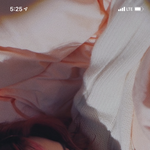 [세븐틴] 청량 미쳤음