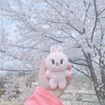 [NCT즌] 나 인형 뭐<b>사지</b>...진짜 골라줘