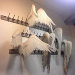 [NCT즌] 드림이들 <b>옷장</b> 공개