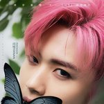 [펜타곤] 8시에 외국인즈